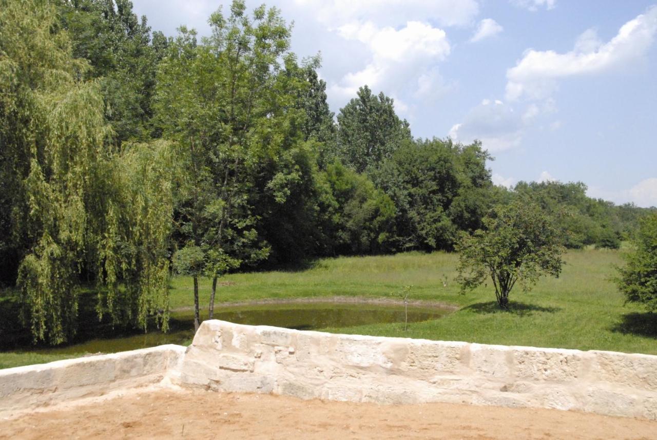 Les Chambres D'Ausilia Sablons  Dış mekan fotoğraf